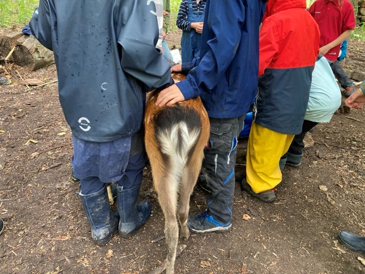 Freunde teilen alles Freunde teilen alles