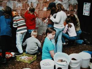 Spuk im Leimener Wald