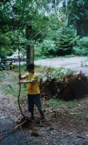 Spuk im Leimener Wald