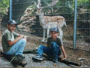 Spuk im Leimener Wald