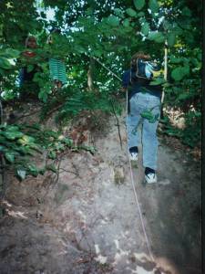Spuk im Leimener Wald