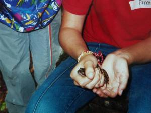 Spuk im Leimener Wald